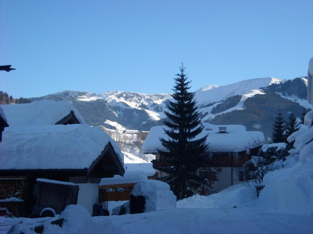 Haus Rieder Georg Maria Alm am Steinernen Meer Exterior foto