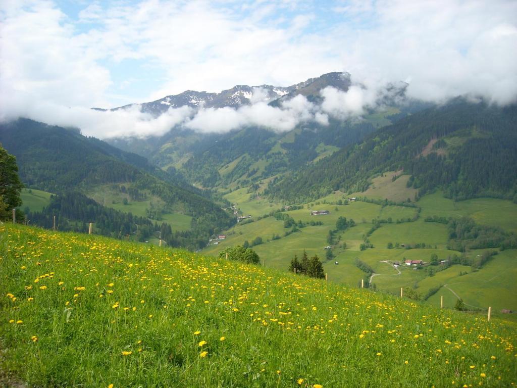 Haus Rieder Georg Maria Alm am Steinernen Meer Exterior foto
