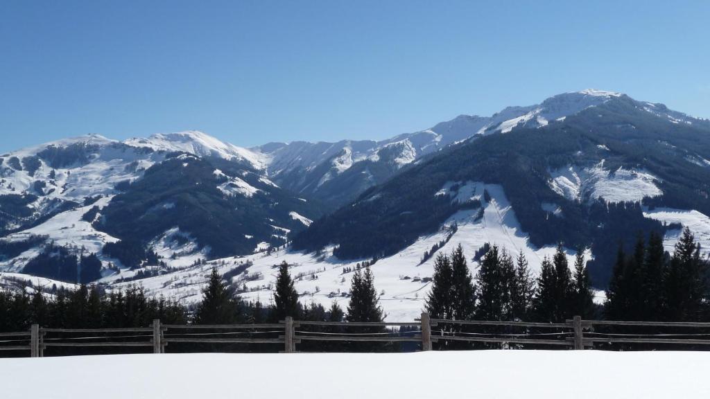Haus Rieder Georg Maria Alm am Steinernen Meer Exterior foto